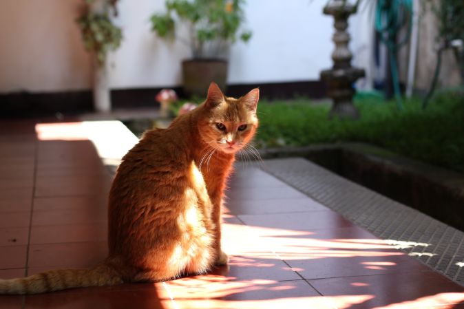 14.02.02  Tia   Bathing By The Garden,  Casa  Ranita5